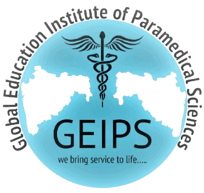 GEIPS Logo